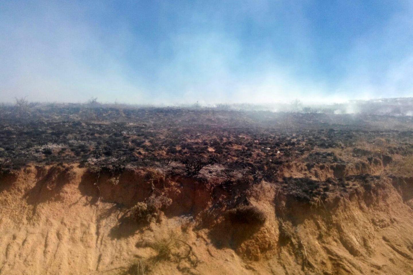 Gümüşhane’de örtü yangını 8