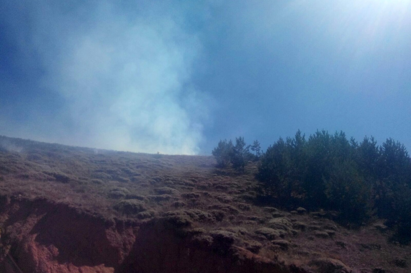Gümüşhane’de örtü yangını 1