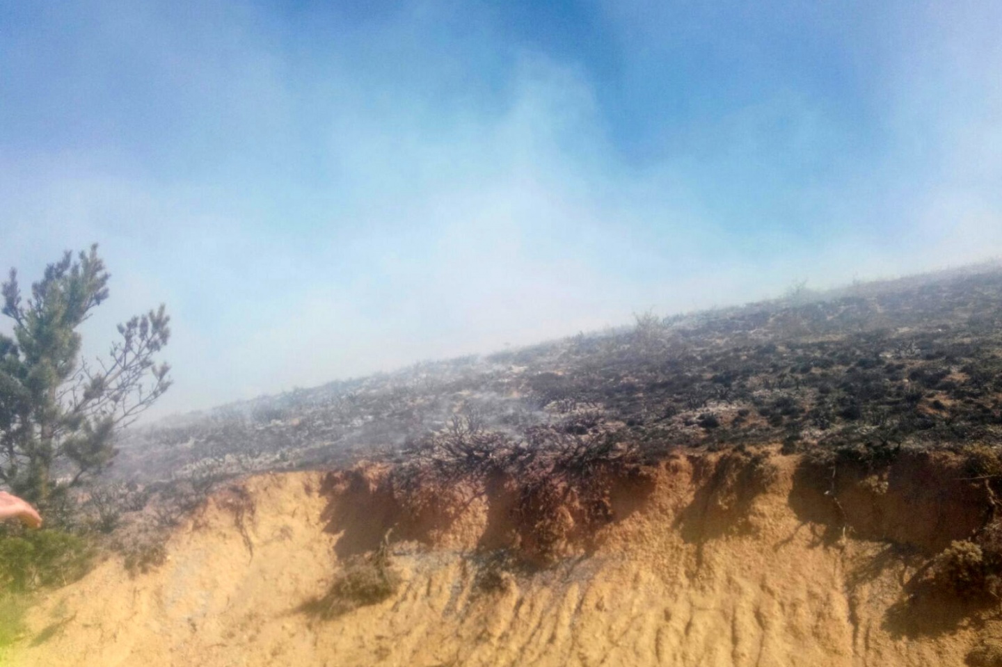 Gümüşhane’de örtü yangını 3