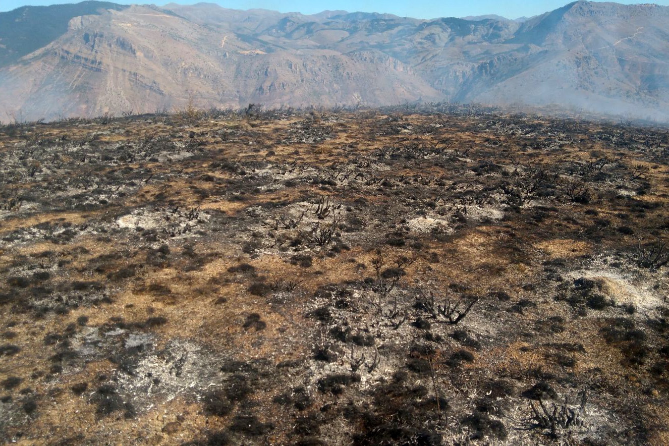 Gümüşhane’de örtü yangını 5