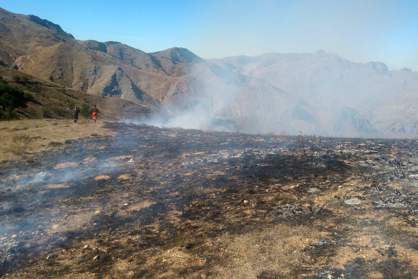 Gümüşhane’de örtü yangını 7