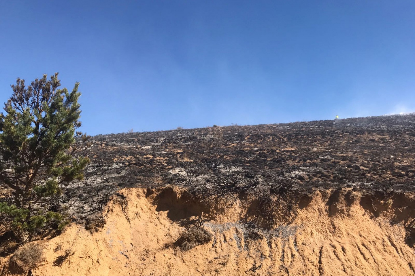 Gümüşhane’de örtü yangını 10