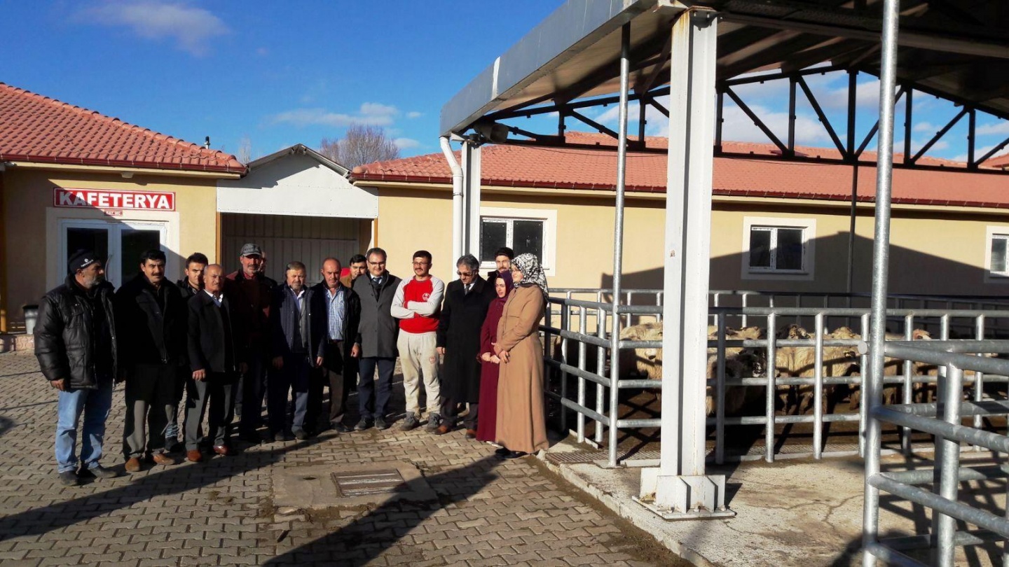 Gümüşhane’de Genç Çiftçilere küçükbaş hayvanları dağıtıldı 20