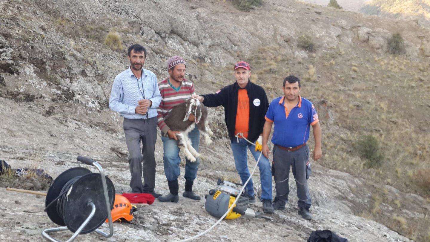 Yavru keçi için seferberlik 3