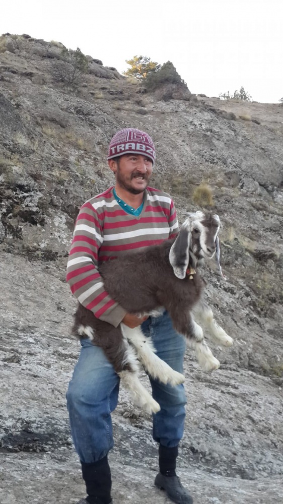 Yavru keçi için seferberlik 4