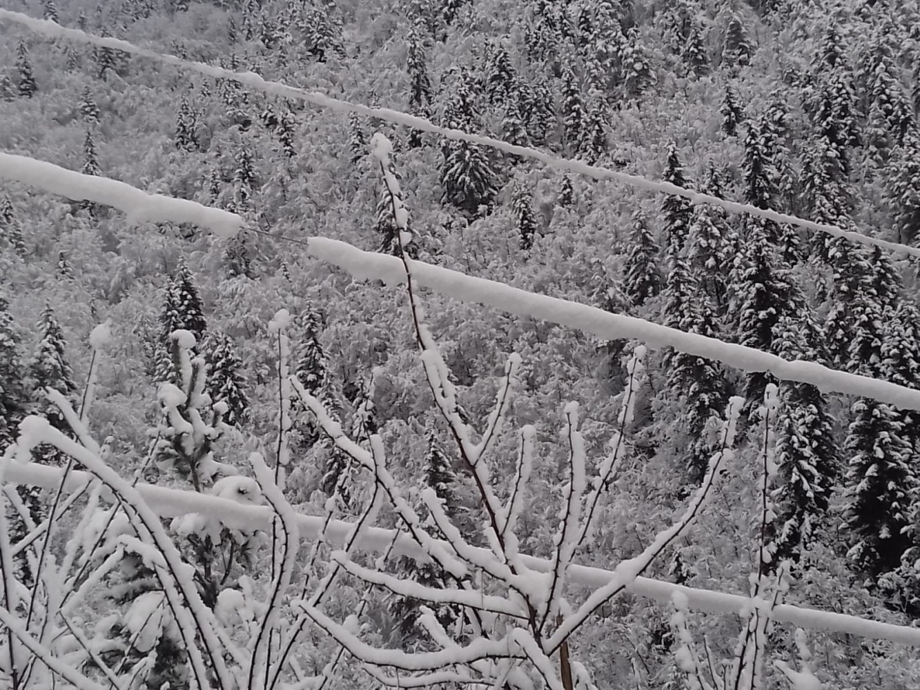 ÇORUH EDAŞ ekipleri zorlu hava şartlarında görev yapıyor 16