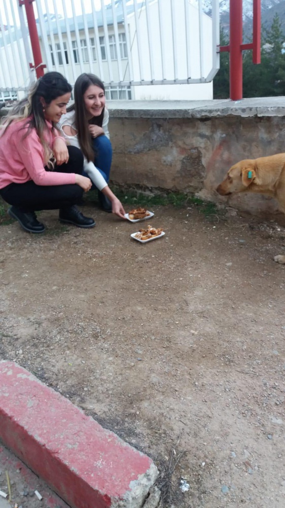 KYK'lı hayvanseverler işbaşında 7