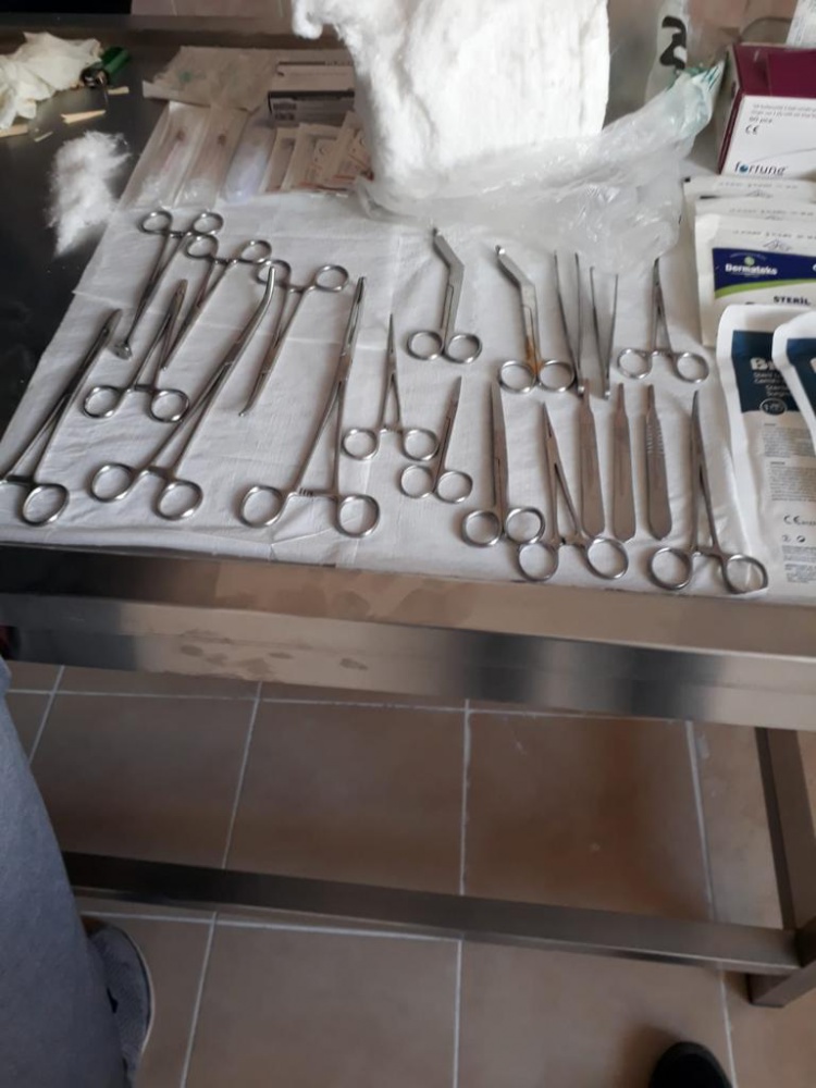 Yaralı yavru kediyi akademisyen ve öğrenciler tedavi etti 3