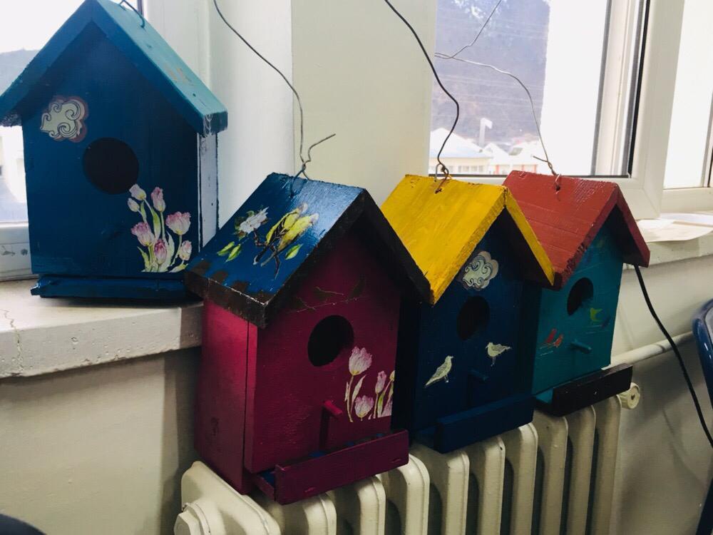 KYK'lı hayvanseverler işbaşında 8