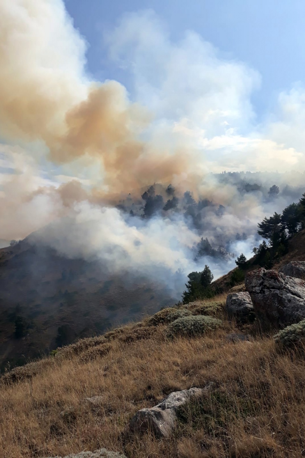 Gümüşhane’de orman ve örtü yangını 1