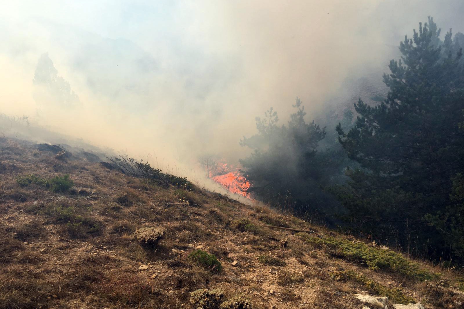 Gümüşhane’de orman ve örtü yangını 6