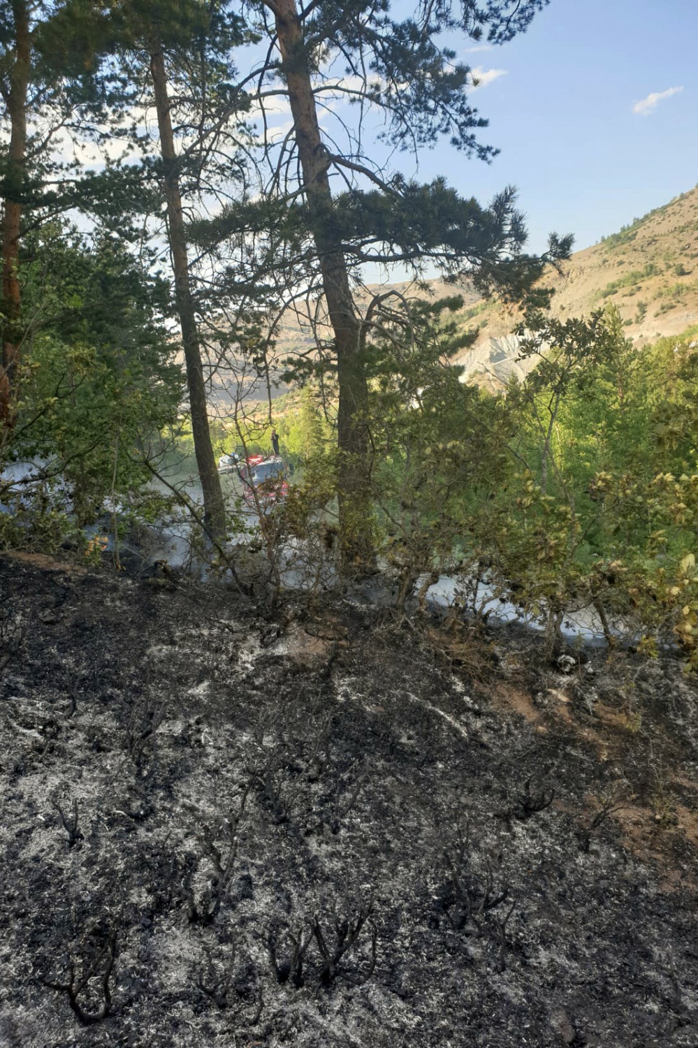 Gümüşhane’de orman içi örtü yangını korkuttu 6