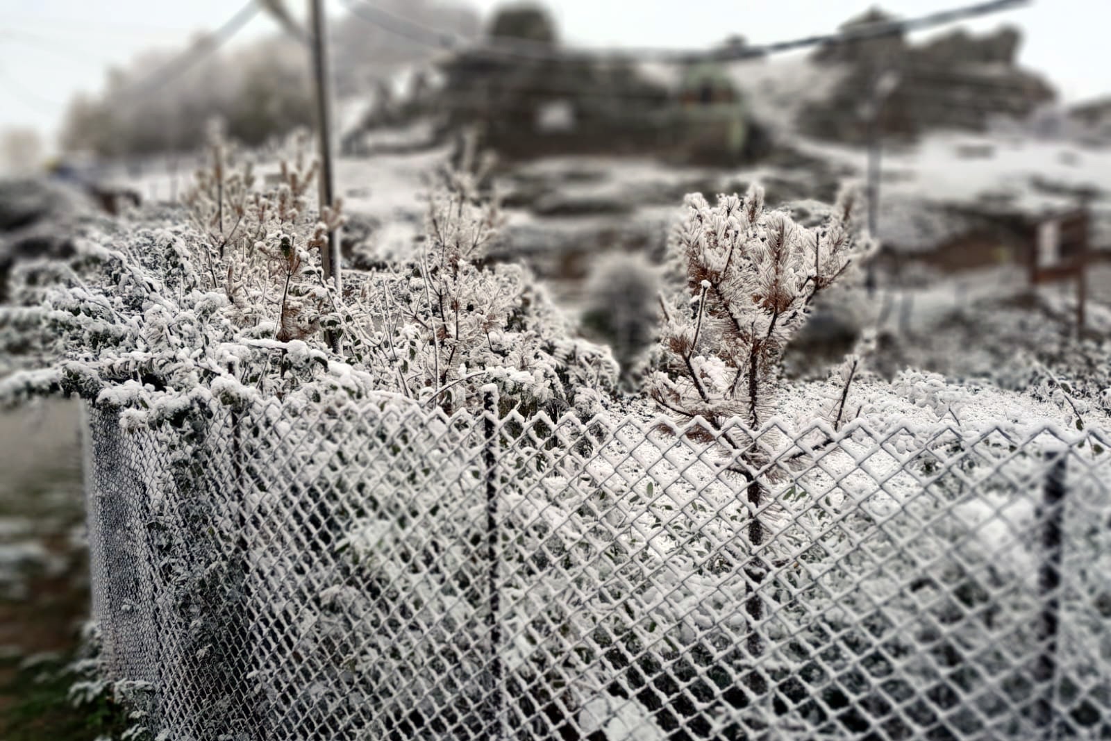 Gümüşhane’nin yükseklerinde kar yağışı 5