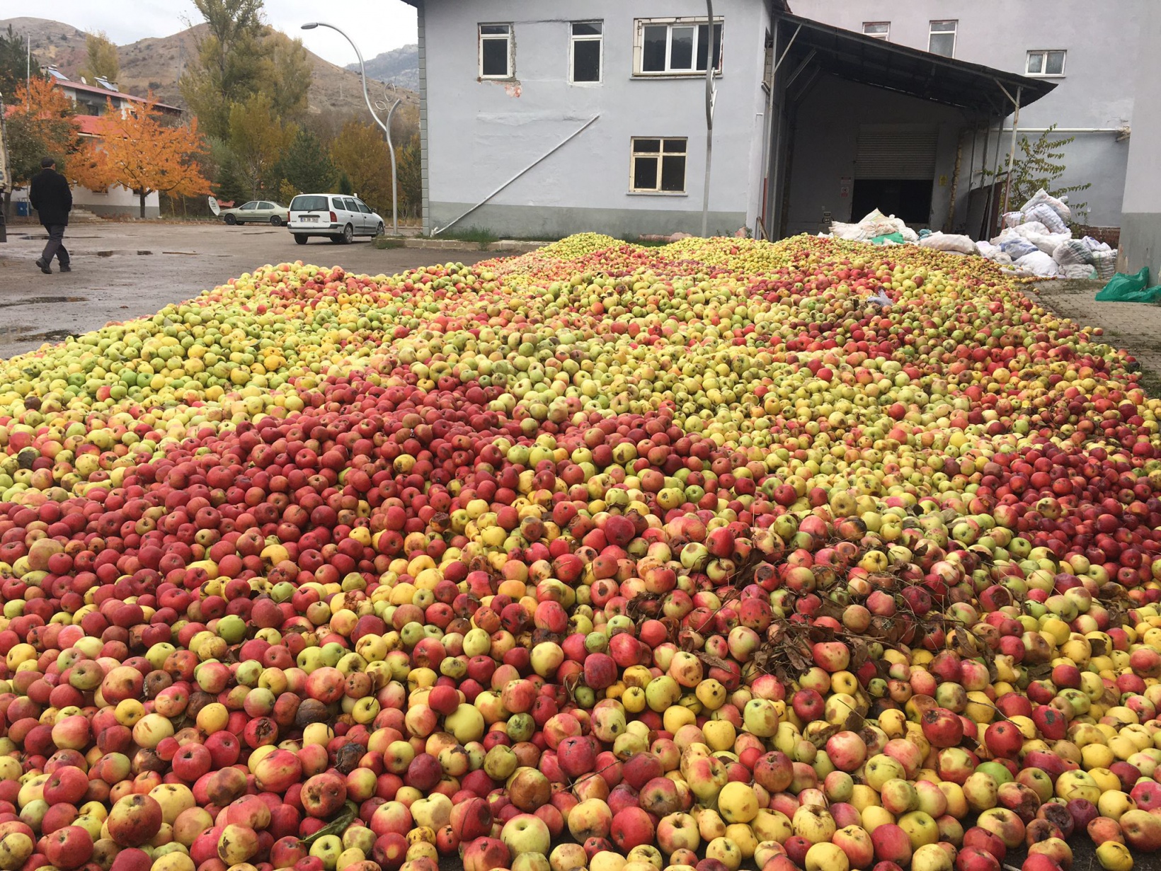 GÜMÜŞSU’dan Gümüşhane’ye ELMA teşekkürü 4