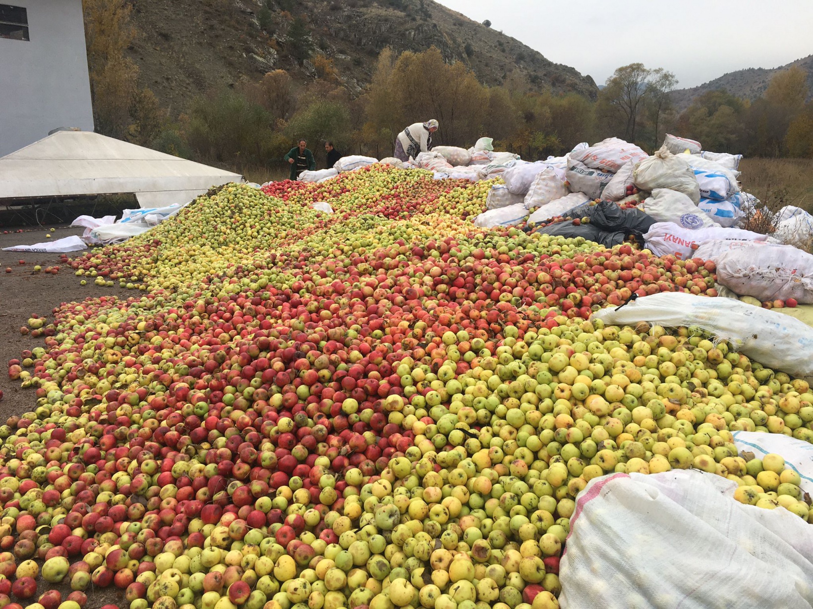 GÜMÜŞSU’dan Gümüşhane’ye ELMA teşekkürü 5