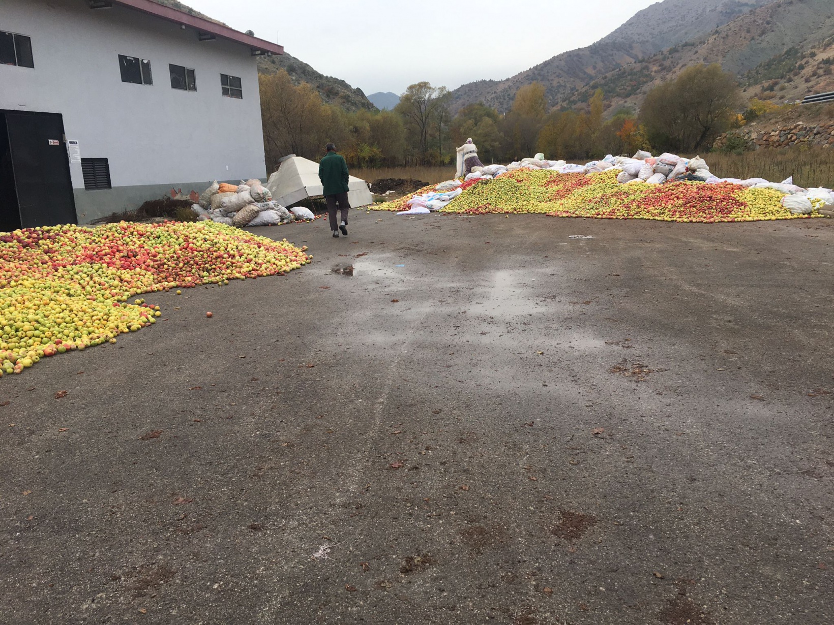 GÜMÜŞSU’dan Gümüşhane’ye ELMA teşekkürü 2