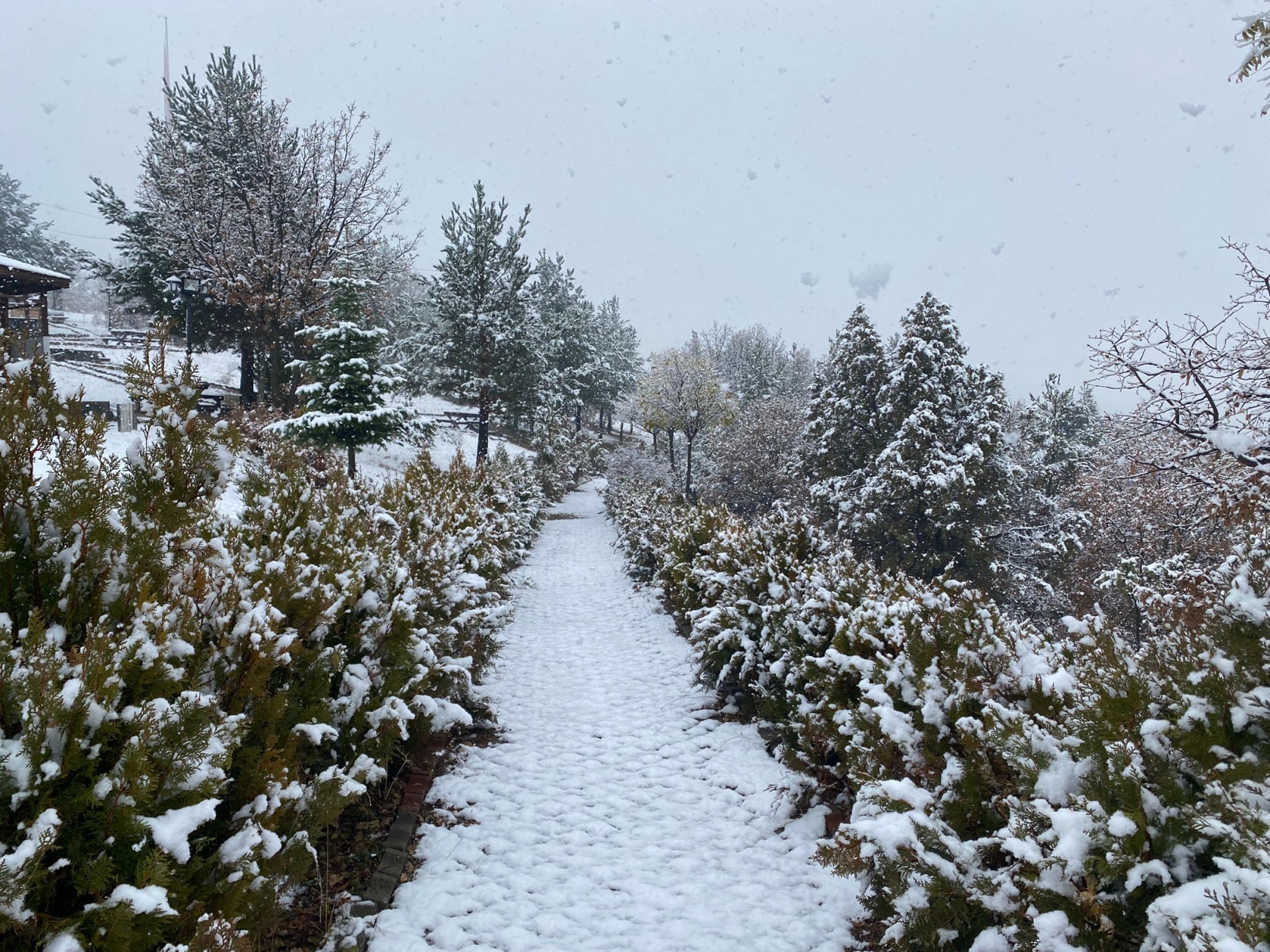 Gümüşhane’nin yükseklerinde kar yağışı başladı 5