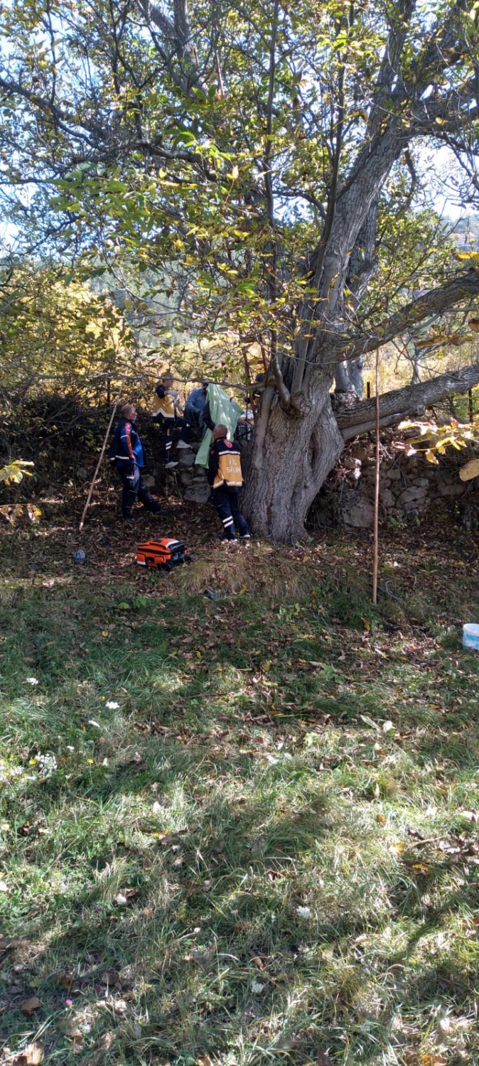 Gümüşhane’de ceviz ağacından düşen adam demire saplanarak can verdi 1