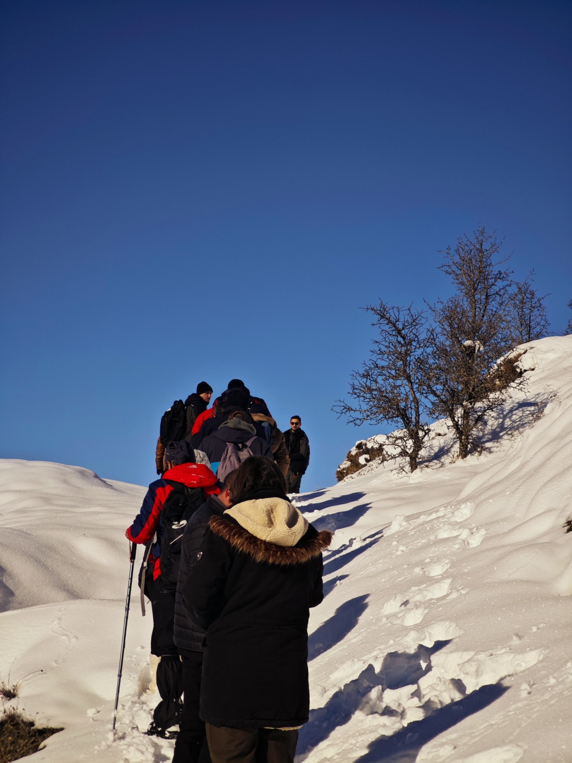 İzcilerden Çalık için ahde vefa yürüyüşü 1
