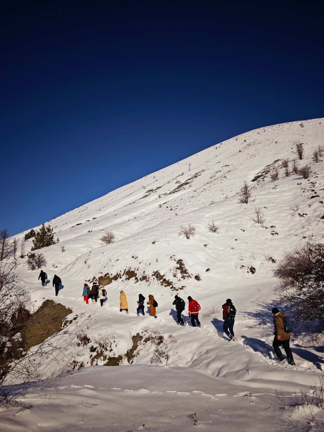 İzcilerden Çalık için ahde vefa yürüyüşü 7