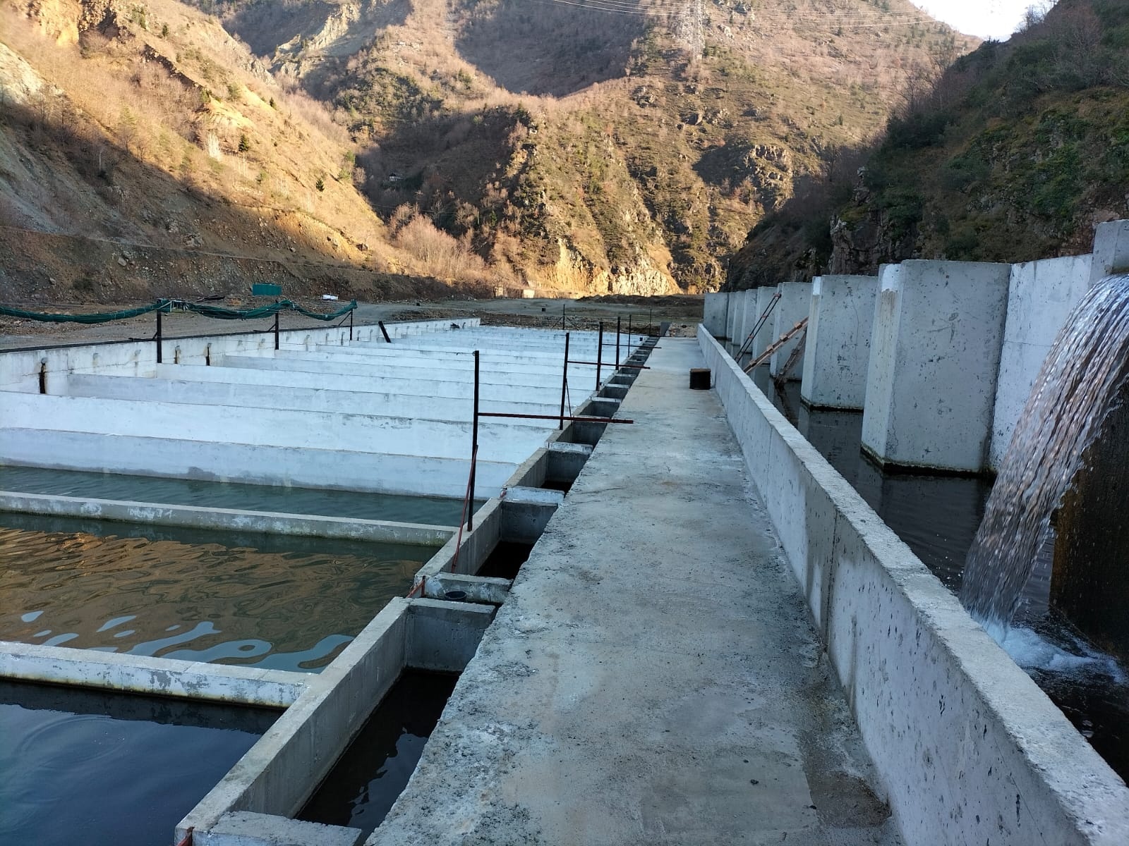 TKDK'dan Kürtün'de 20 milyon kapasiteli yavru alabalık projesi hayata geçiyor 2