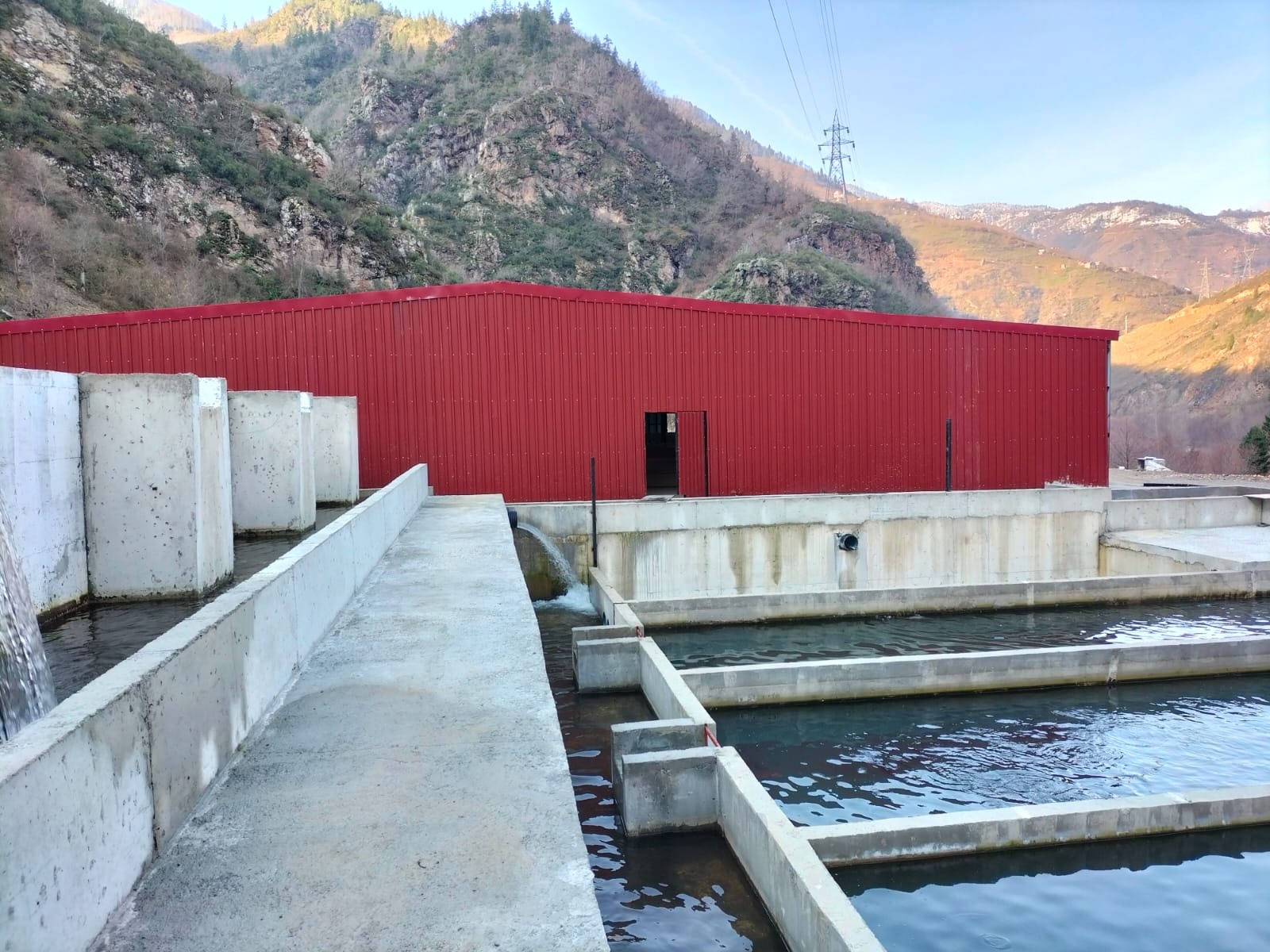 TKDK'dan Kürtün'de 20 milyon kapasiteli yavru alabalık projesi hayata geçiyor 5