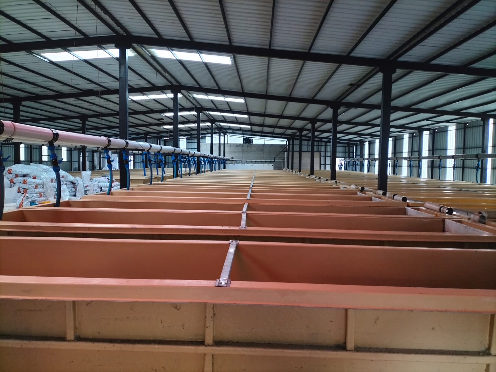 TKDK'dan Kürtün'de 20 milyon kapasiteli yavru alabalık projesi hayata geçiyor 1