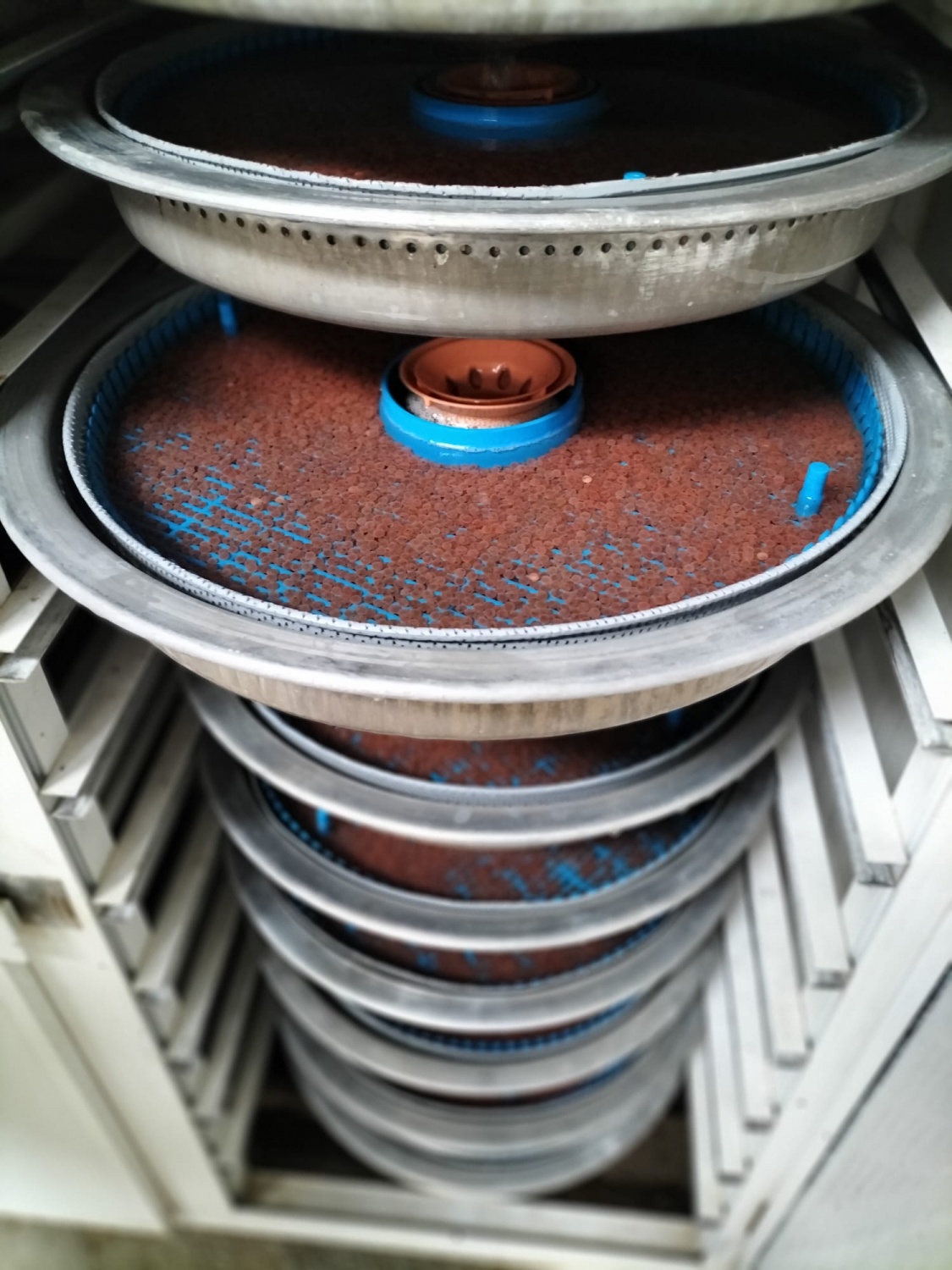 TKDK'dan Kürtün'de 20 milyon kapasiteli yavru alabalık projesi hayata geçiyor 4