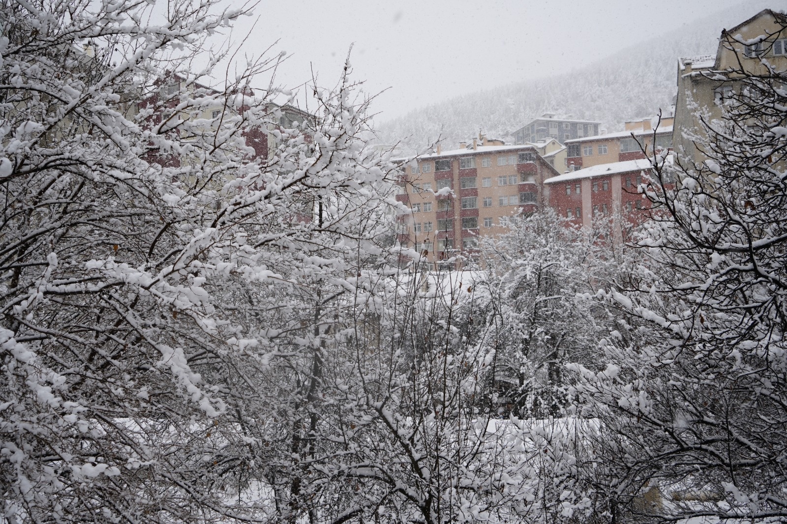 Gümüşhane’de mevsim bir gecede bahardan kışa döndü 7