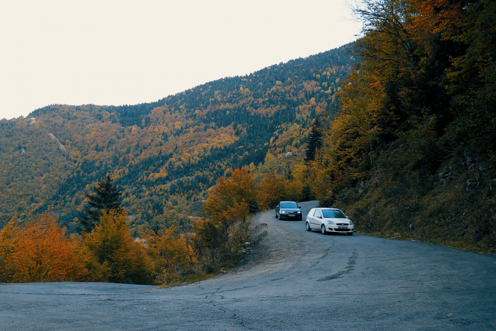 Örümcek Ormanları büyüleyici hale büründü 12
