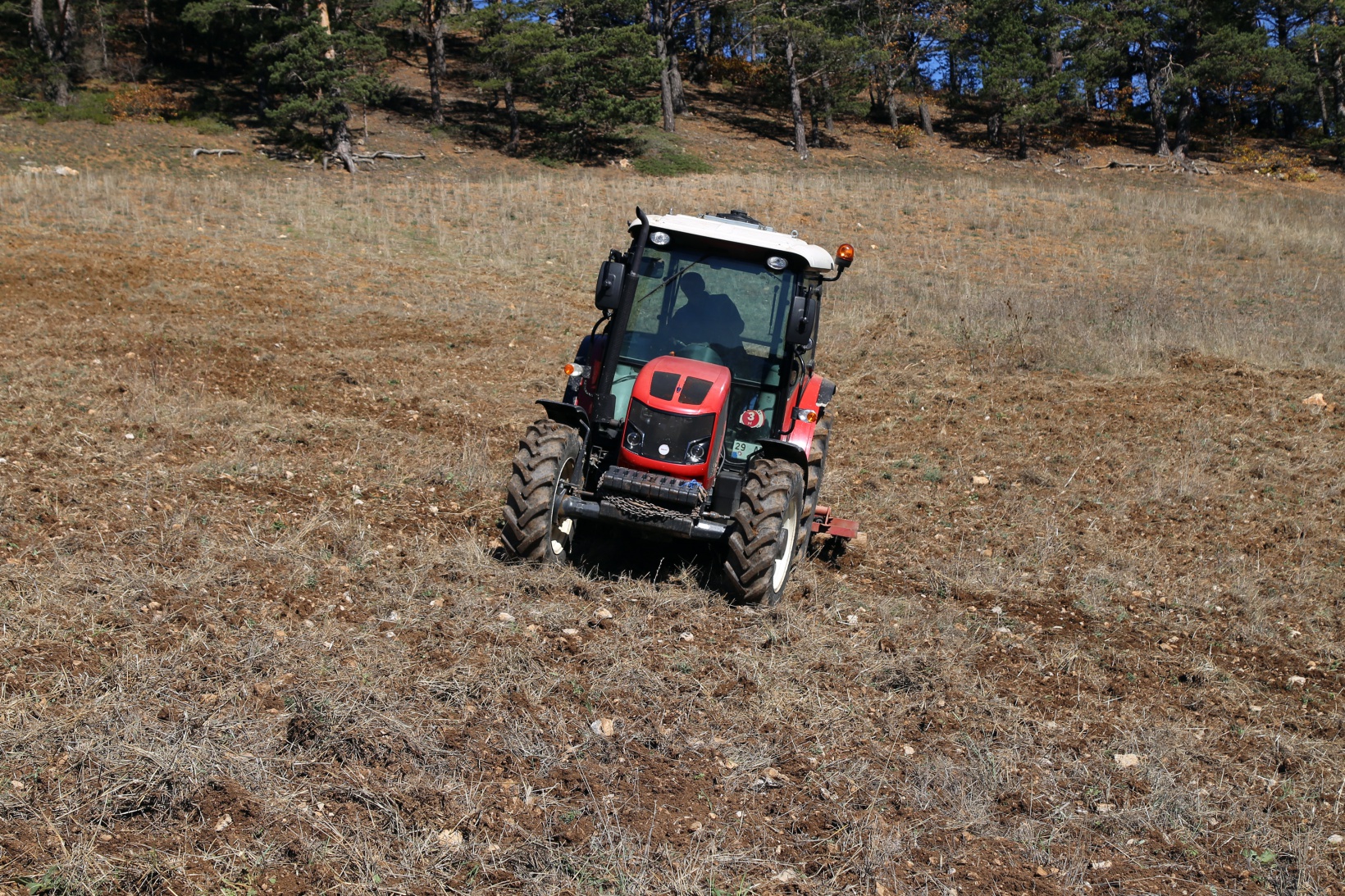 Kuşlar aç kalmasın diye 11 yıldır boş tarlaları ekiyorlar 4