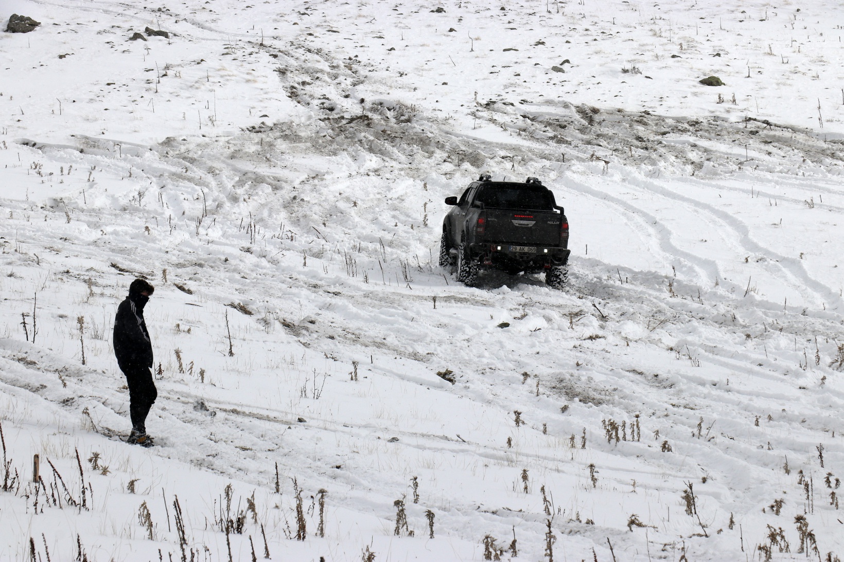 Zorlu yolları bu kez yaban hayvanları için aştılar 30