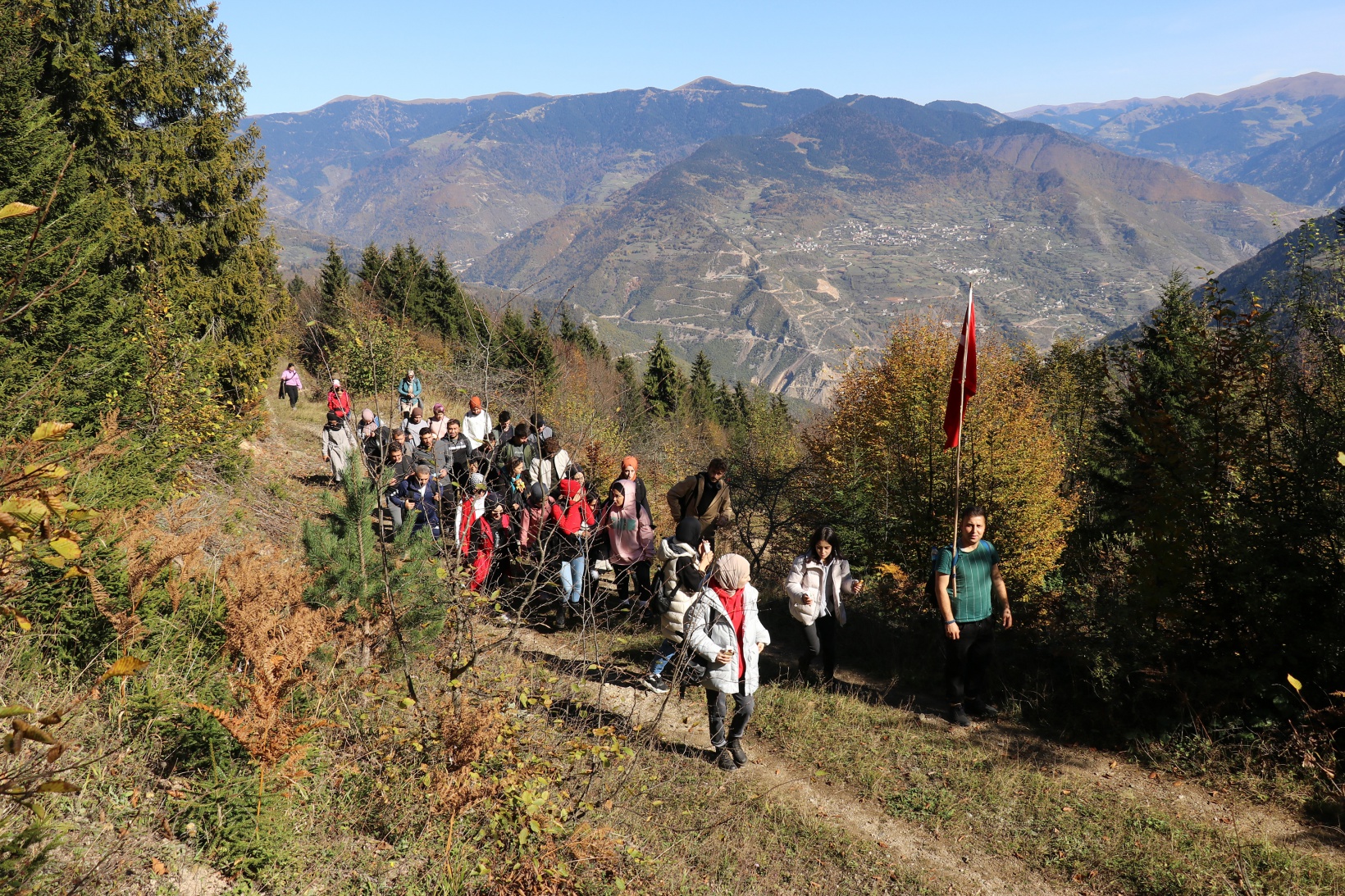 Görsel şöleni görmek için Örümcek Ormanlarına akın ettiler 7