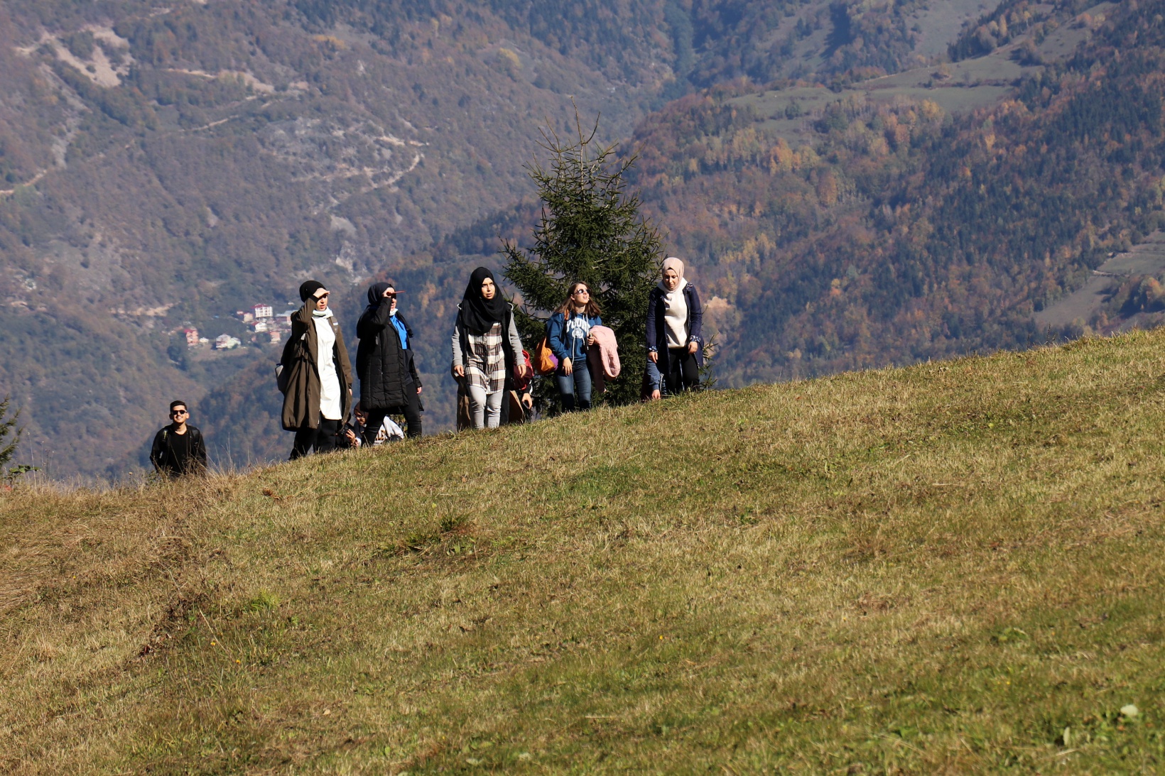 Görsel şöleni görmek için Örümcek Ormanlarına akın ettiler 12