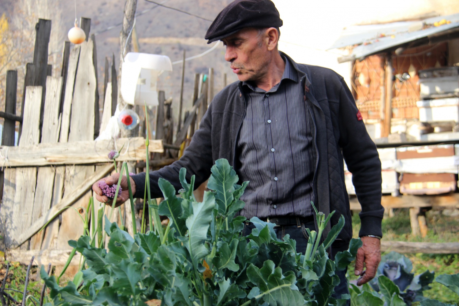 Hem çiftçi hem ressam 3