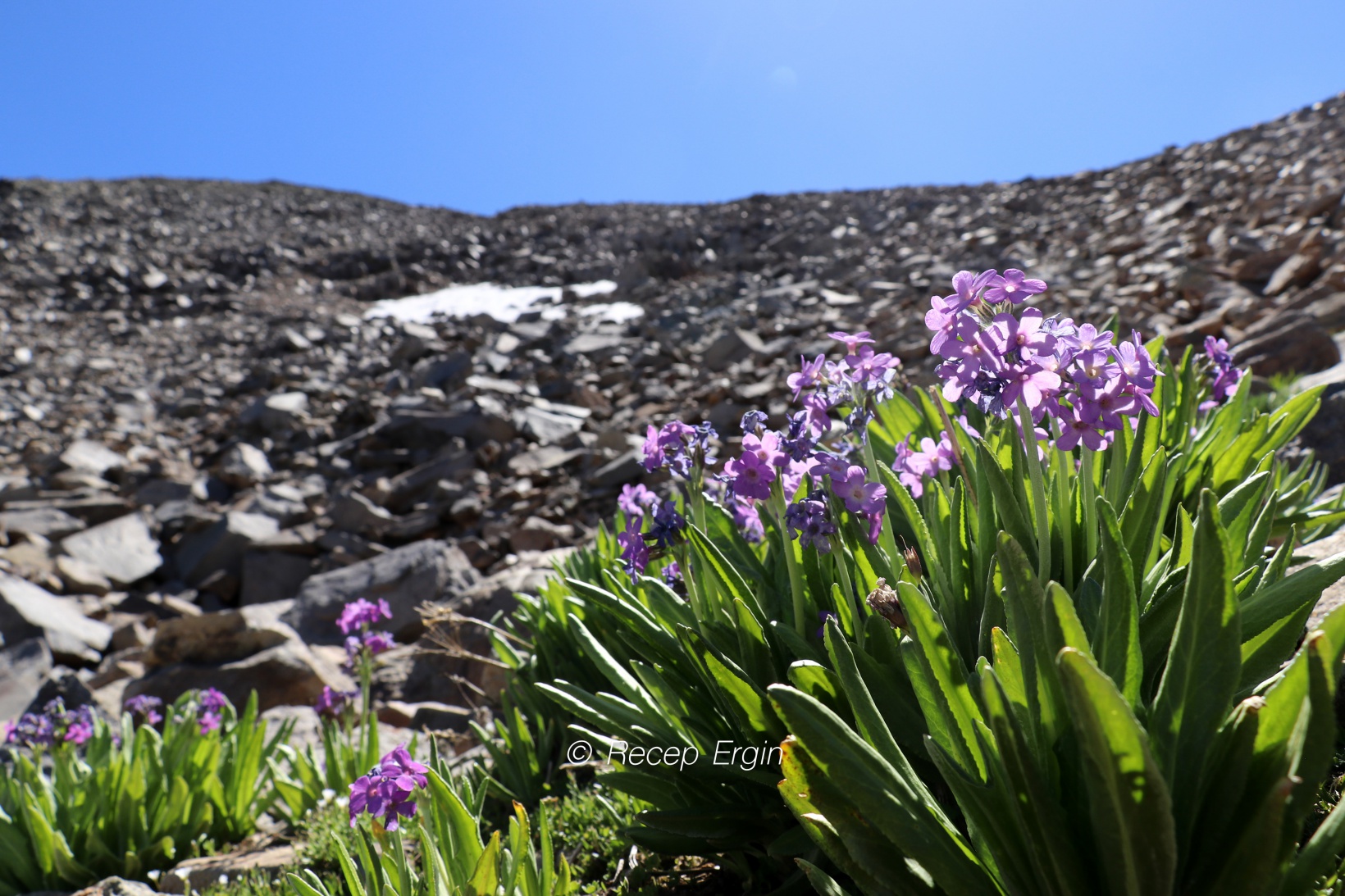 3 bin 333 metrede Yusuf Dikeç pozu verdiler 6