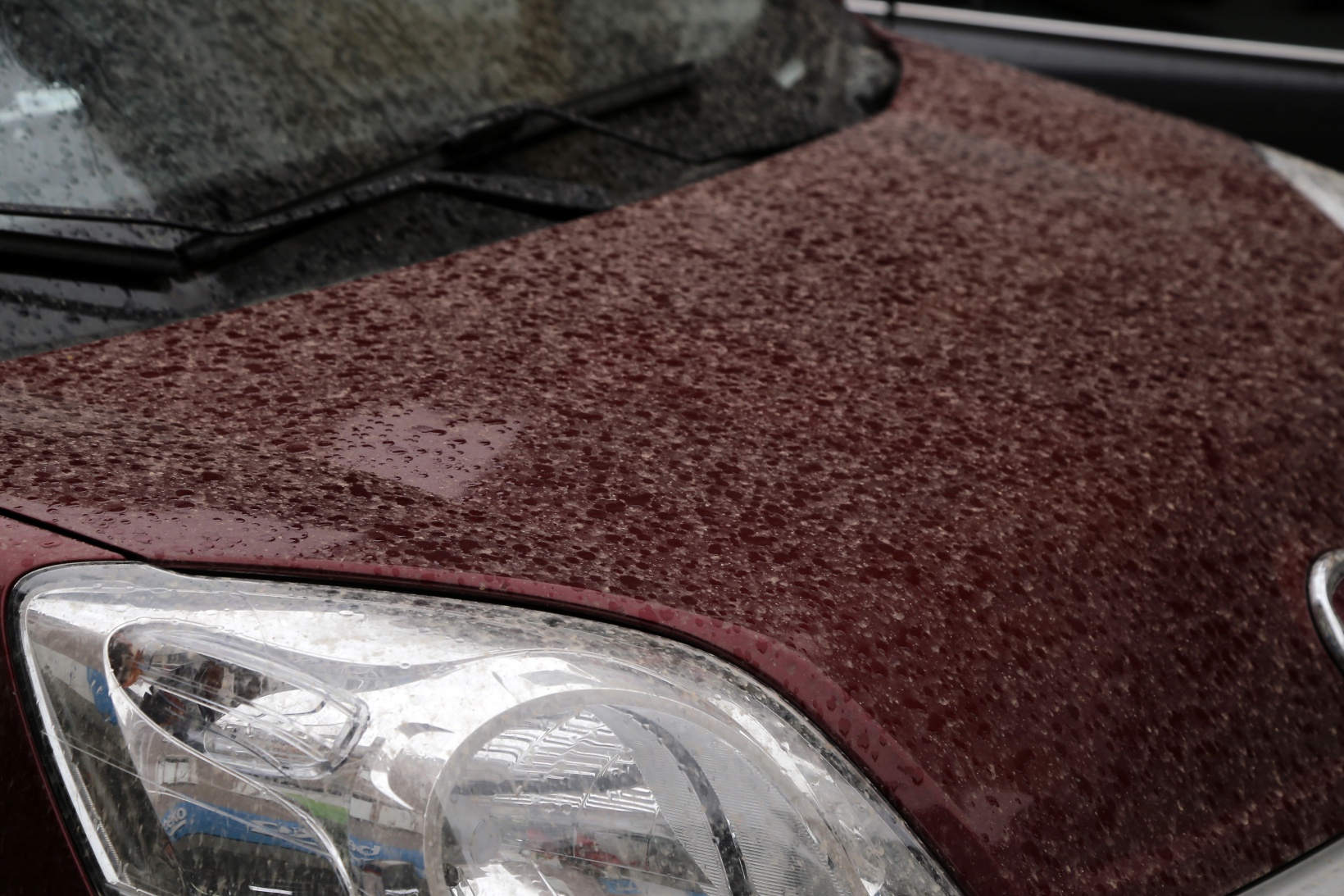 Gümüşhane’ye çamur yağdı 5