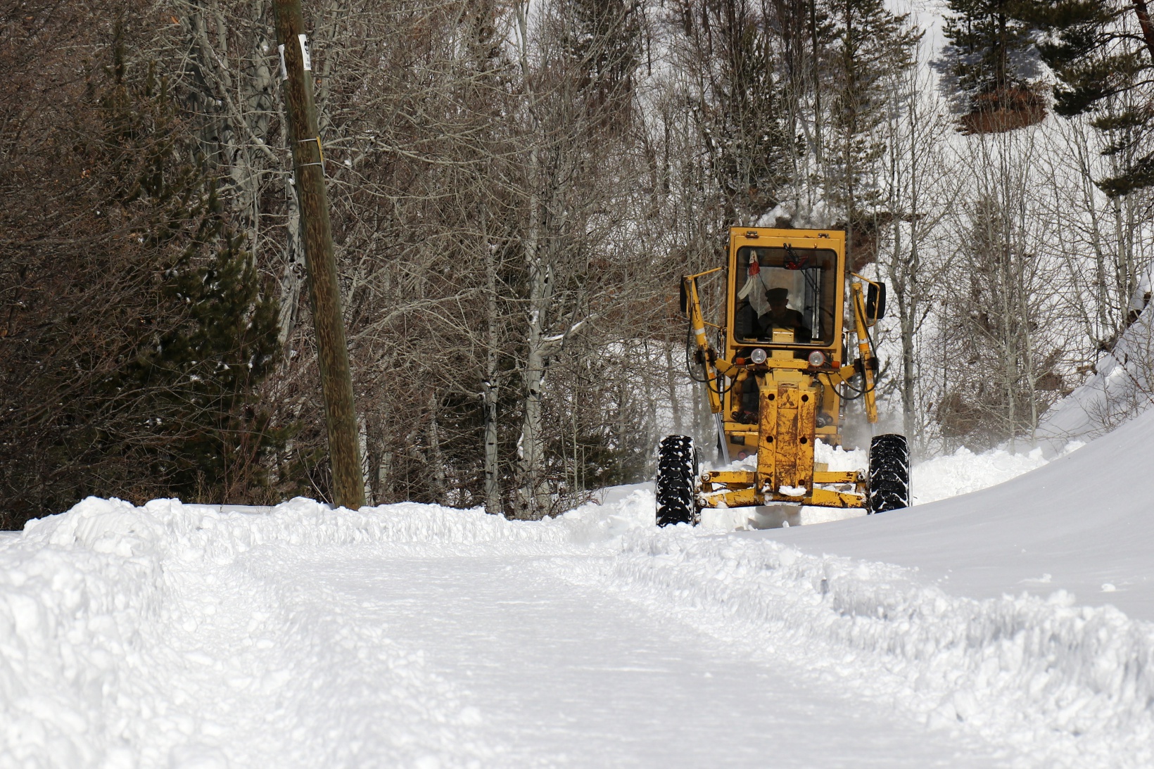 Gümüşhane’de karla mücadele çalışmaları sürüyor 4