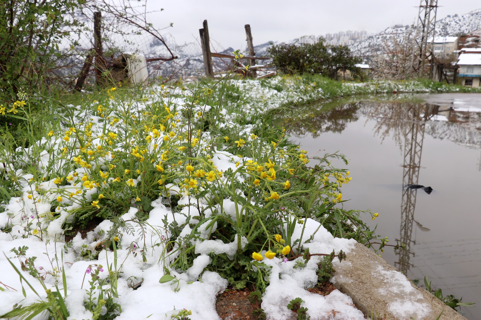 Gümüşhane Nisan ayının son günlerinde beyaz gelinliğini giydi 4