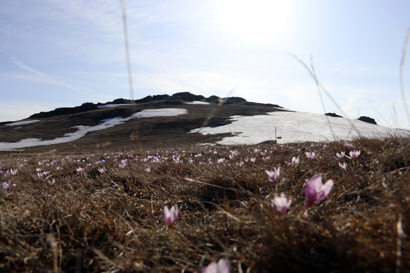 Gümüşhane yaylalarında karla mücadele devam ediyor 9