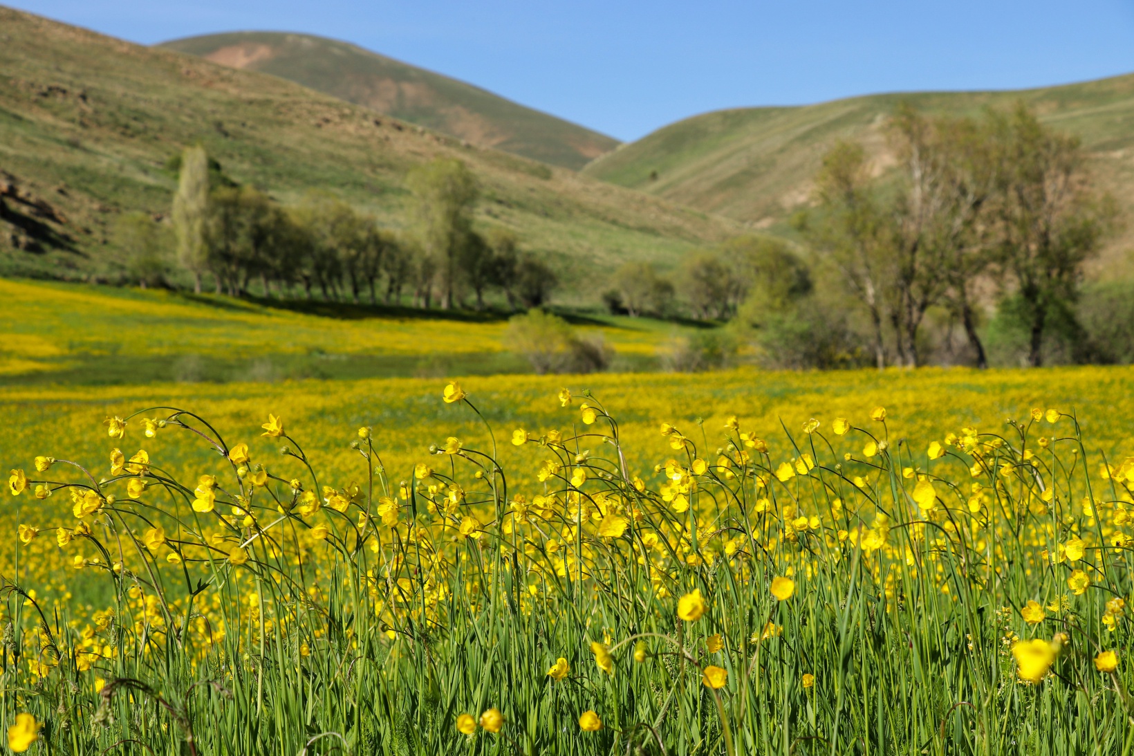 Bu manzarayı görebilmek için 10 gün kaldı 7