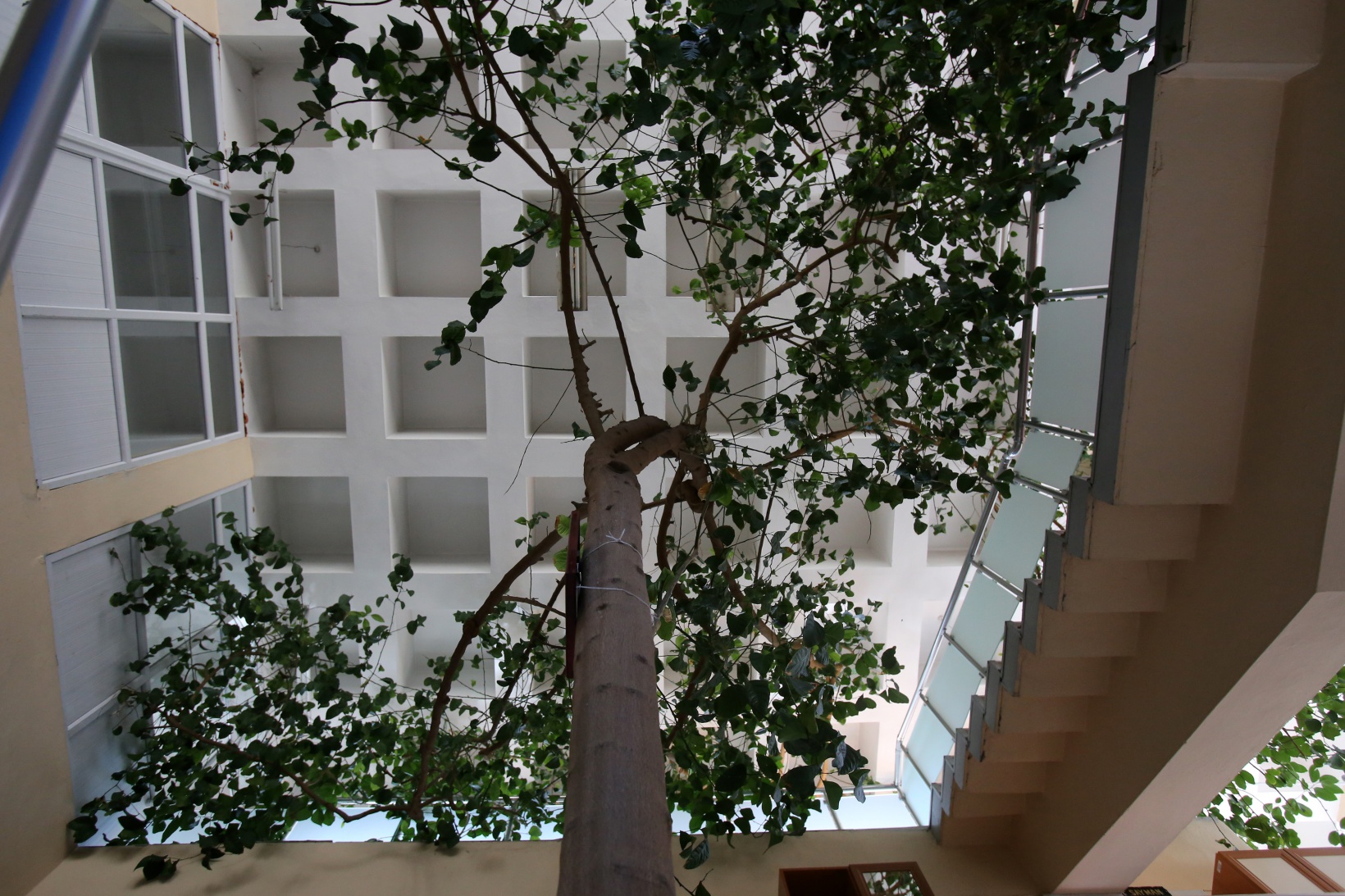 Yıkılacak kütüphanede son kez Kütüphaneler Haftası kutlandı 7