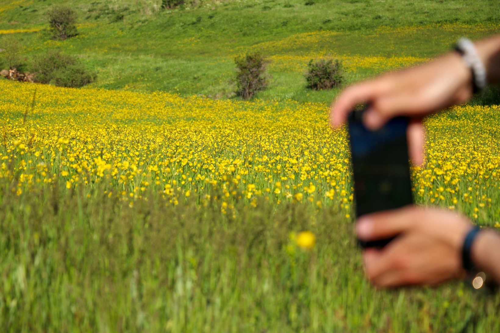 Bu manzarayı görebilmek için 10 gün kaldı 5