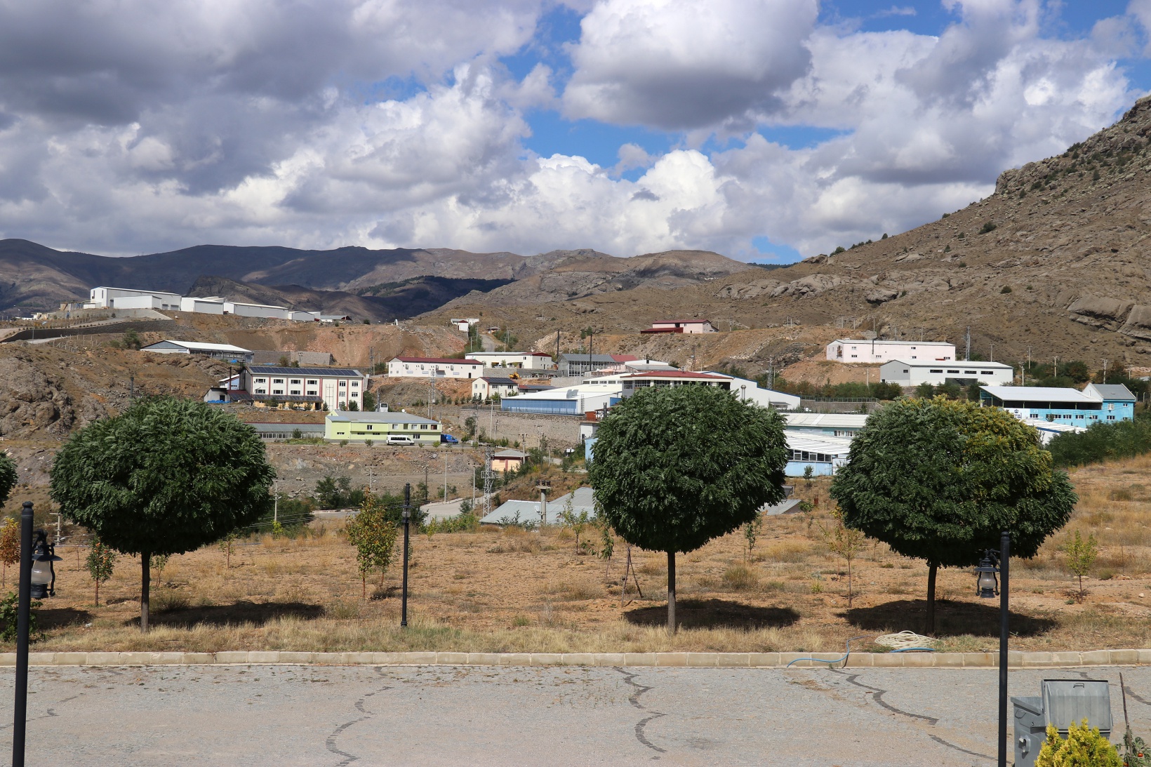 Sonbaharda baharı getiren armut ağacı görenleri şaşırtıyor 11