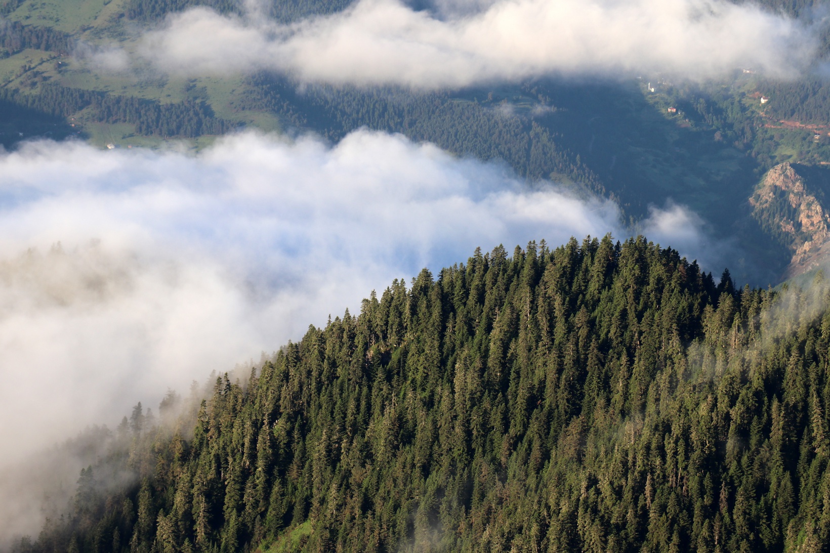 Gümüşhane’de eşsiz sis denizi manzarası 15