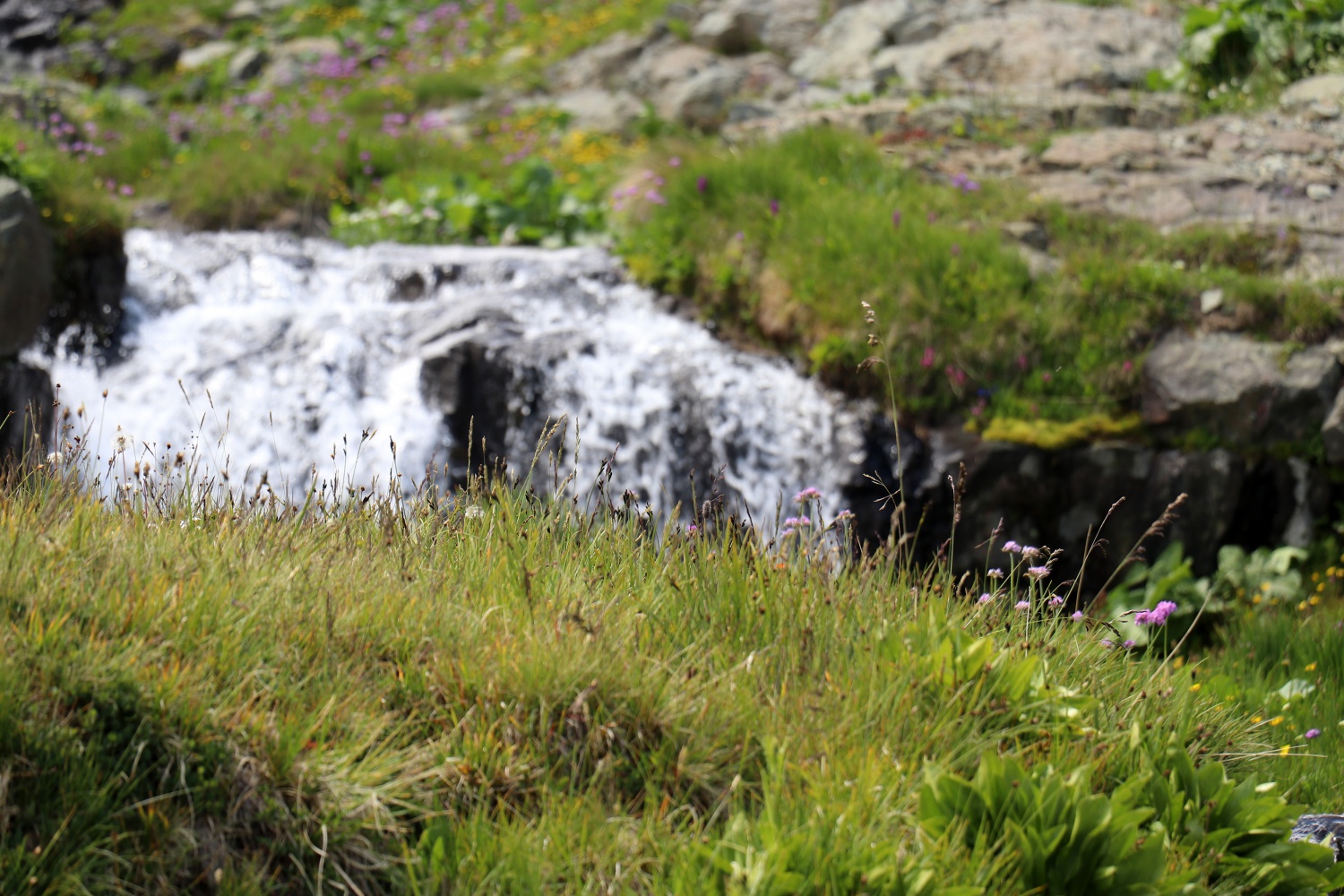 Yüksek zirvelerin cenneti: Artabel Gölleri Tabiat Parkı 27