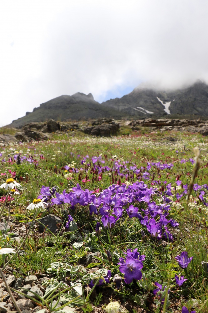 Yüksek zirvelerin cenneti: Artabel Gölleri Tabiat Parkı 23