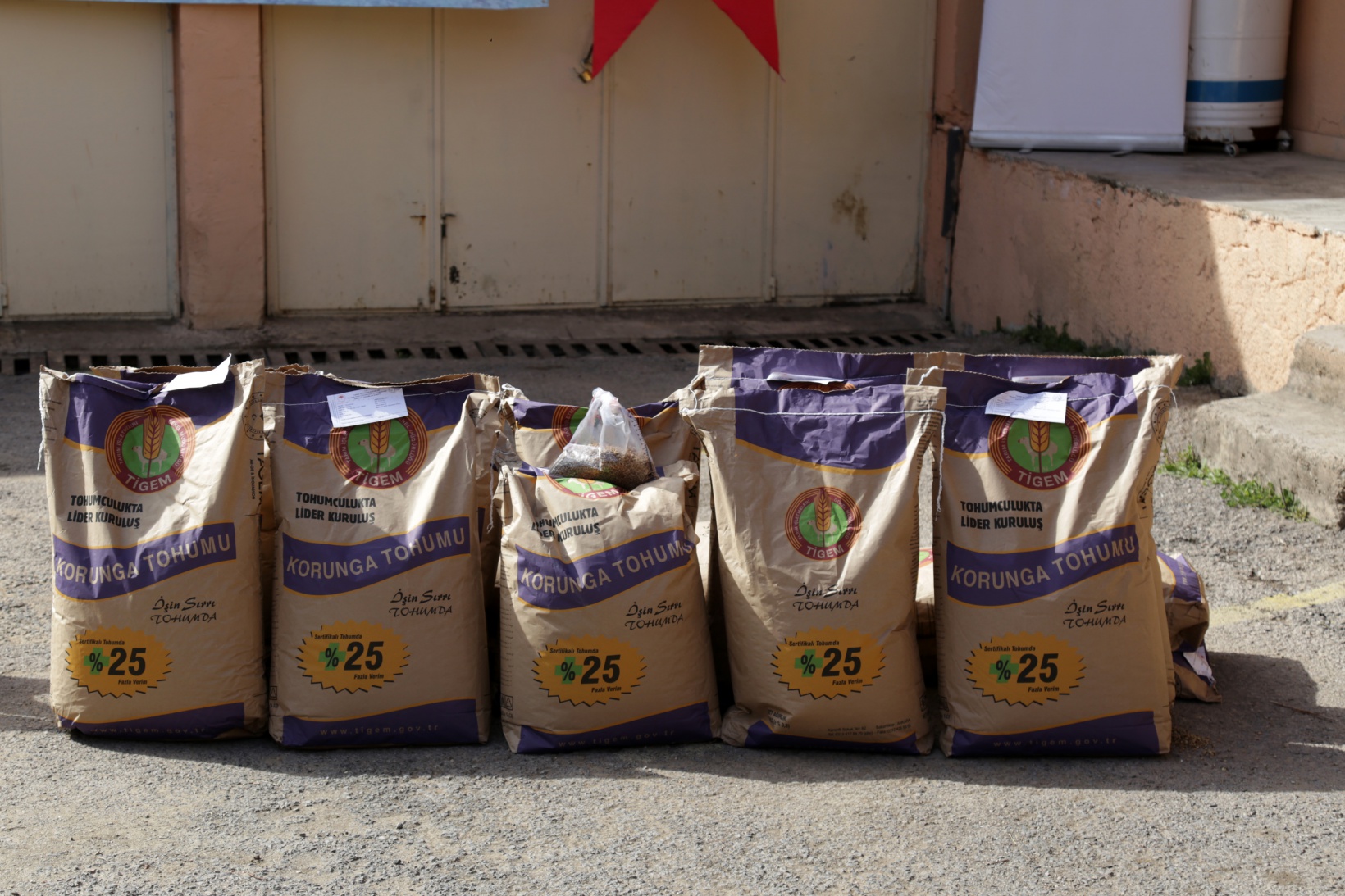 Gümüşhane’de üreticilere 3,5 milyon TL’lik fidan ve tohum dağıtıldı 12