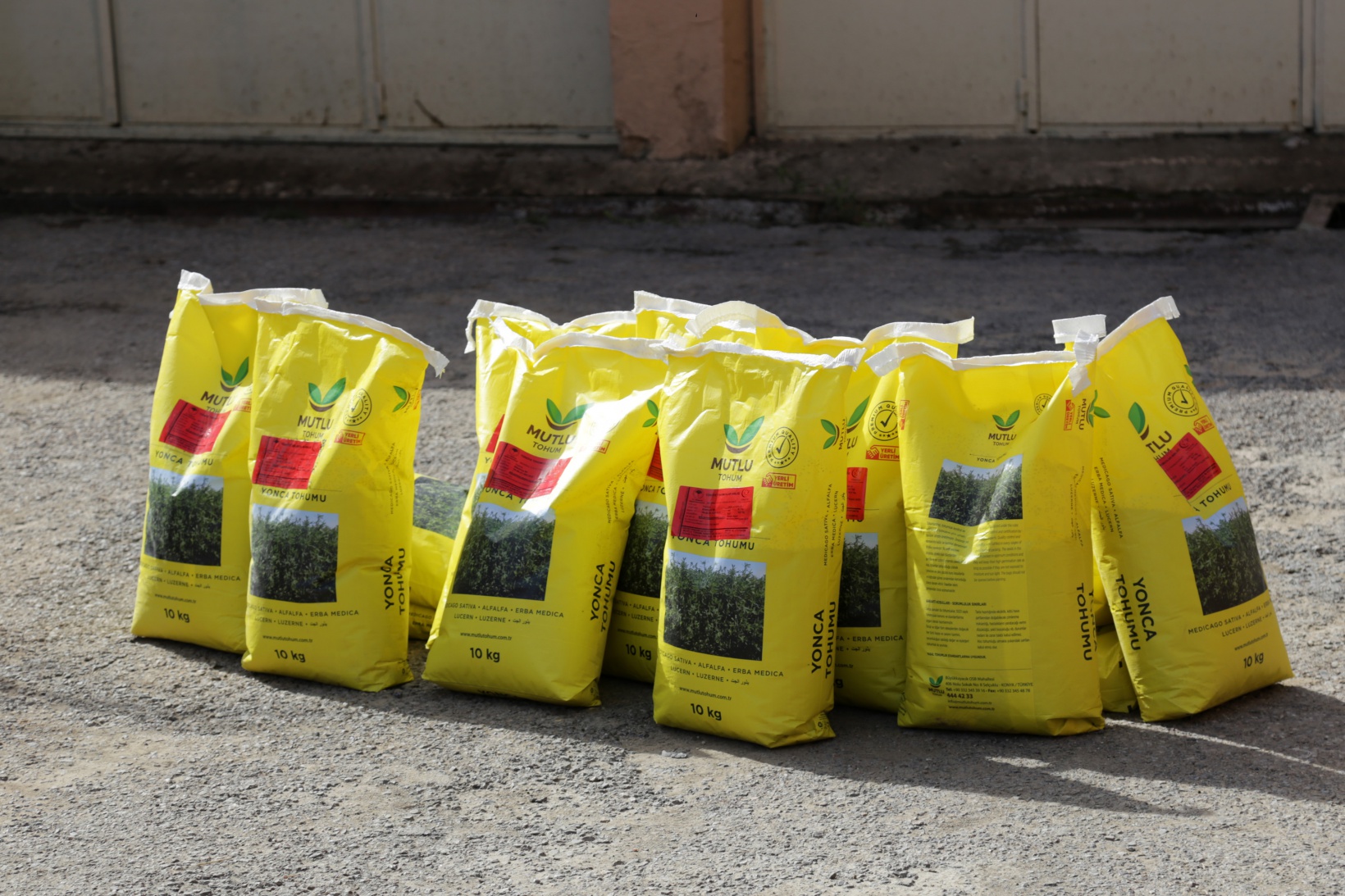 Gümüşhane’de üreticilere 3,5 milyon TL’lik fidan ve tohum dağıtıldı 11