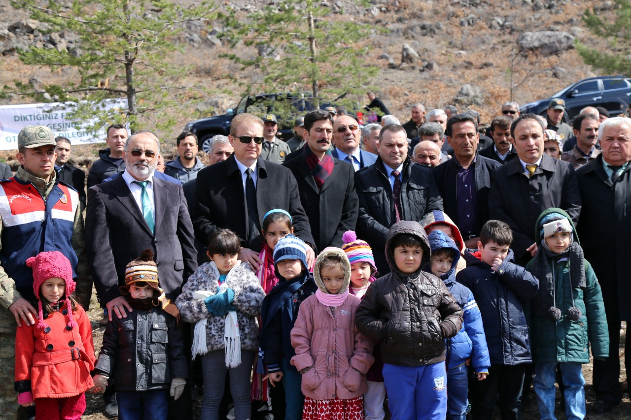 Cebeli Köyüne 10 Bin Fidanlık Yeni Orman 2